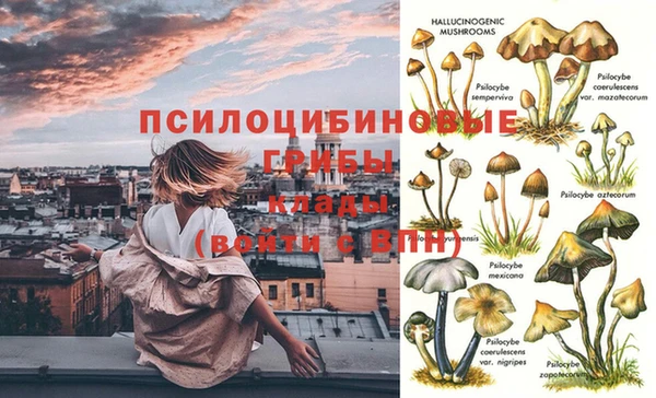 молекула духа Покровск